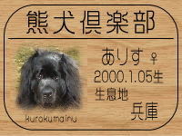 �I�[�i�[�́A���肷�܂܂���ł���